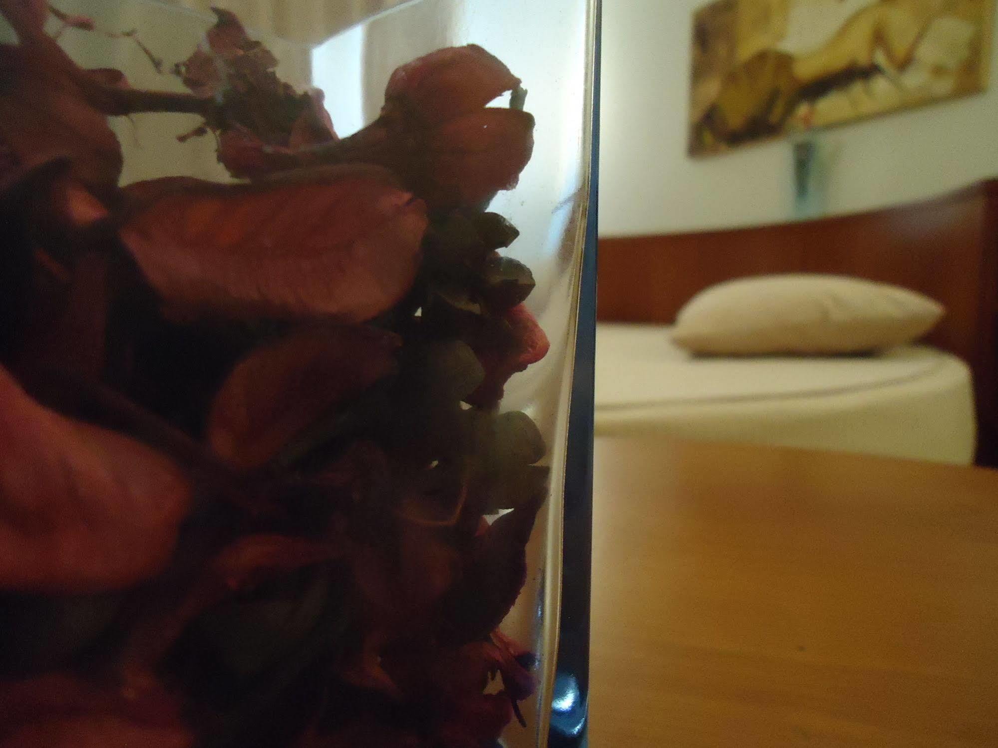 Hotel Pombeira Guarda Kültér fotó